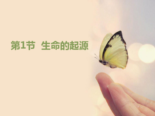 《生命的起源》PPT