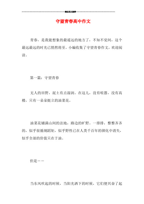 守望青春高中作文