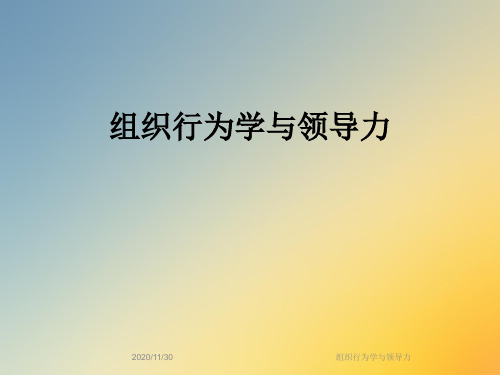 组织行为学与领导力