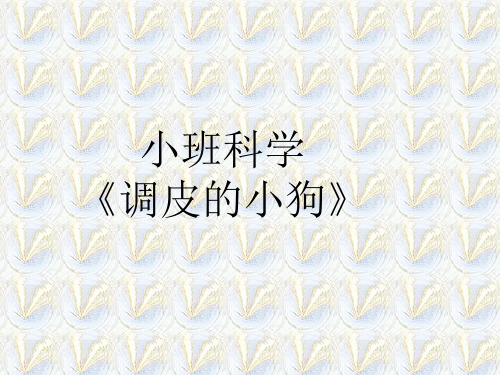 小班调皮的小狗