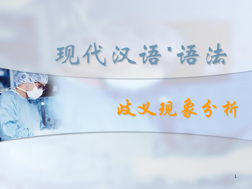现代汉语·语法(歧义)ppt课件