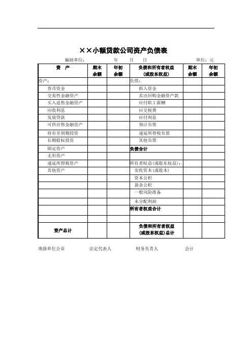 小额贷款公司财务报表