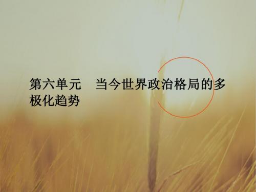 2018新课标新高考第一轮总复习历史课件必修一第六单元 当今世界政治格局的多极化趋势167张 精品