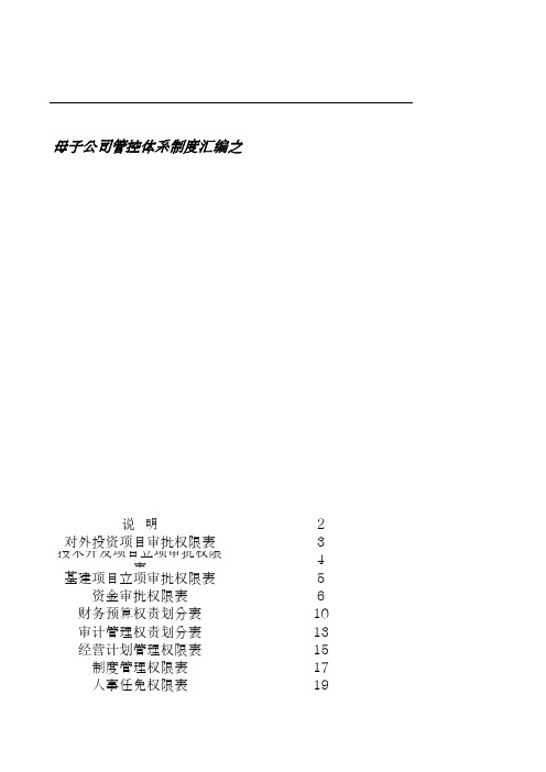 中捷控股集团母子公司重大权责划分表