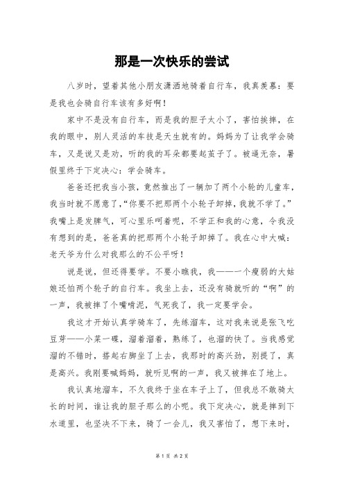那是一次快乐的尝试_六年级作文