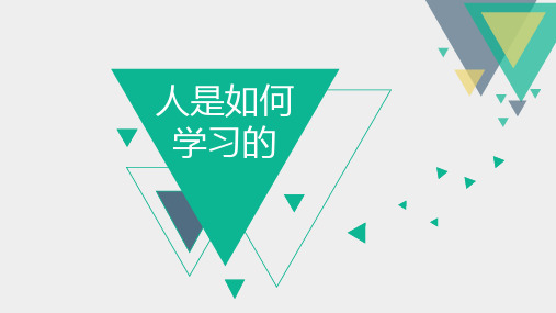 人是如何学习