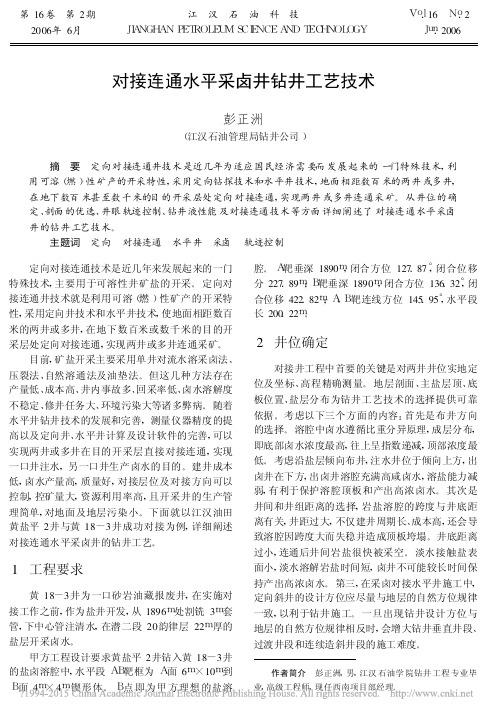 对接连通水平采卤井钻井工艺技术_彭正洲