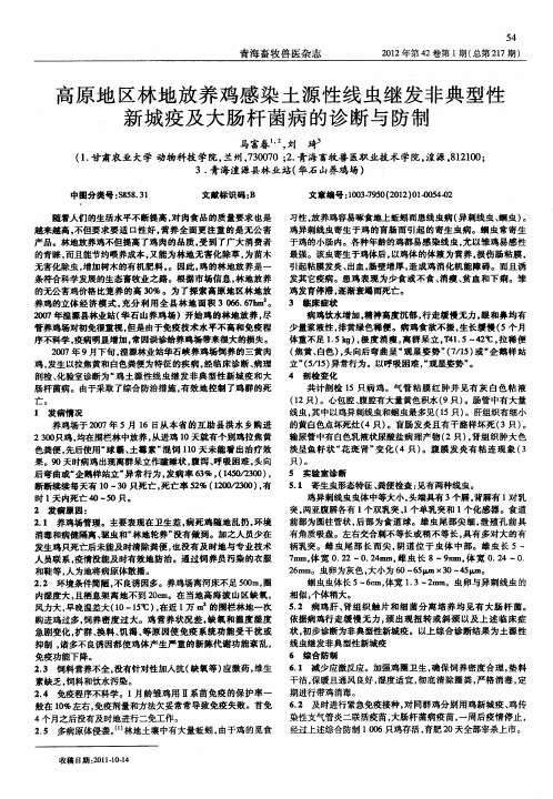 高原地区林地放养鸡感染土源性线虫继发非典型性新城疫及大肠杆菌病的诊断与防制
