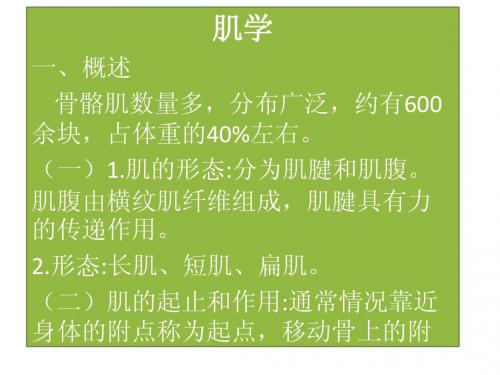 肌学