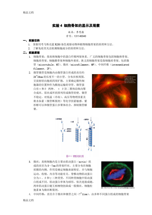 实验4 细胞骨架的显示及观察学习资料
