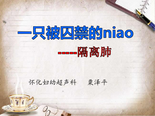 胎儿隔离肺