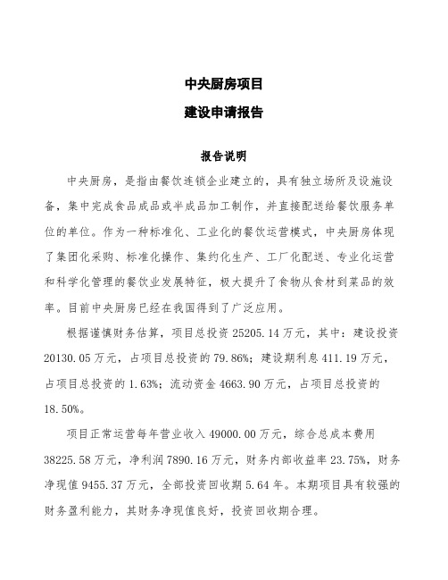 中央厨房项目建设申请报告