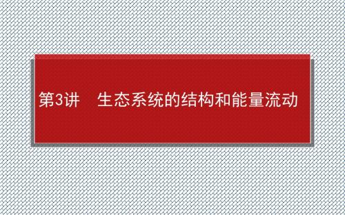 2015届高考生物新课标一轮复习全方位讲解课件3.2.3