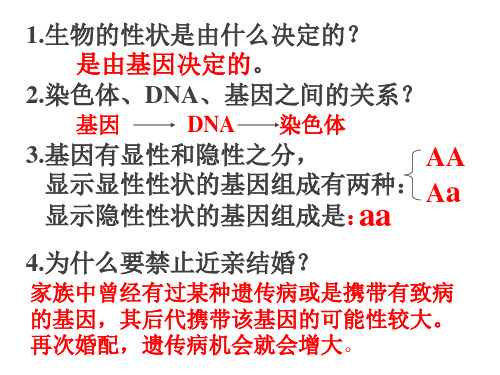 (完整)八级生物人的性别遗传ppt精品PPT资料精品PPT资料