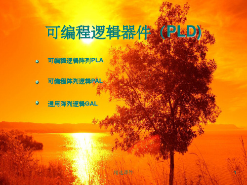 PAL,PLA,GAL数字逻辑系统