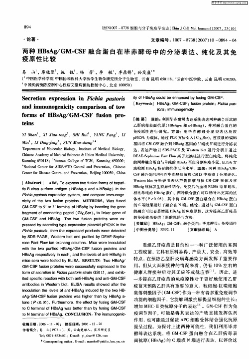 两种HBsAg／GM-CSF融合蛋白在毕赤酵母中的分泌表达、纯化及其免疫原性比较
