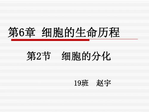 细胞分化说课