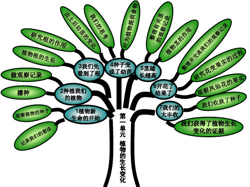三年级科学下册知识树