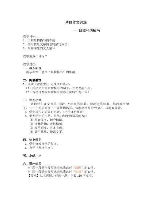 语文人教版九年级下册片段作文训练