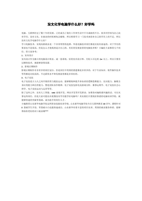 没文化学电脑学什么好？好学吗