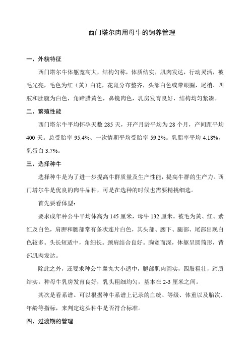 西门塔尔肉用母牛的饲养管理