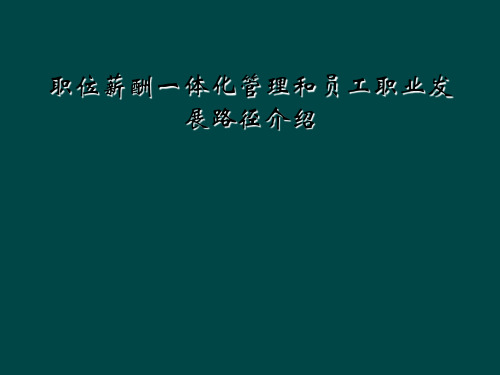 职位薪酬一体化管理和员工职业发展路径介绍