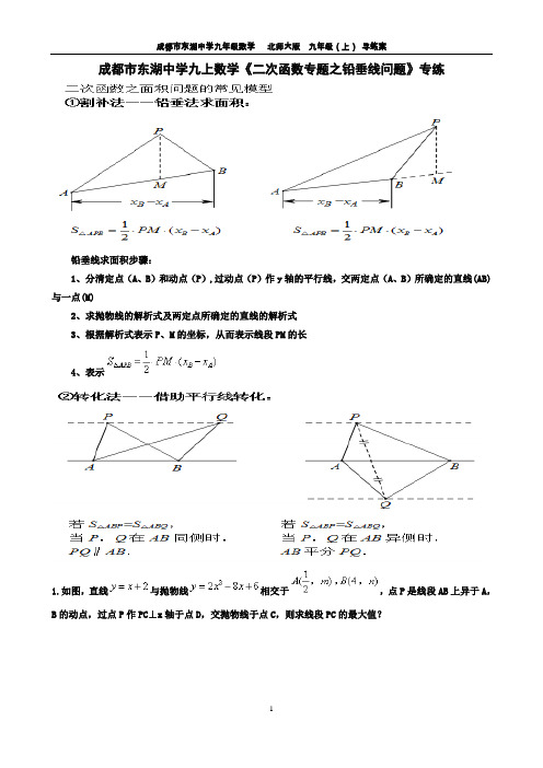 成都市东湖中学九上数学《二次函数专题之铅垂线问题》专练