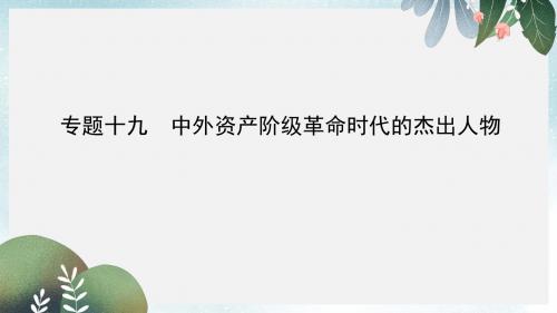 高考历史二轮专题复习人物史和文化遗产专题十九中外资产阶级革命时代的杰出人物课件