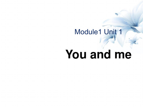 《You and me》课件(1) 图文