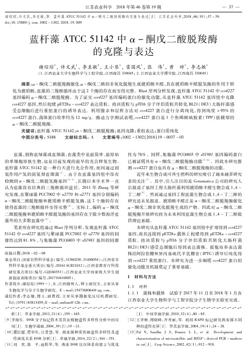 蓝杆藻ATCC 51142中α-酮戊二酸脱羧酶的克隆与表达