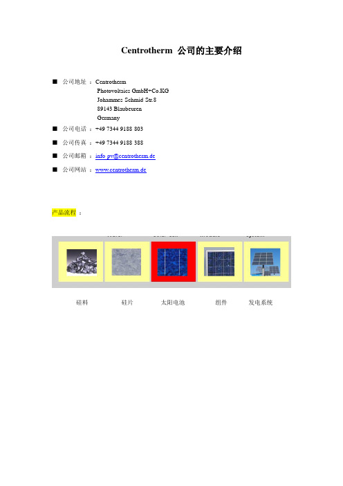 Centrotherm 公司的主要介绍