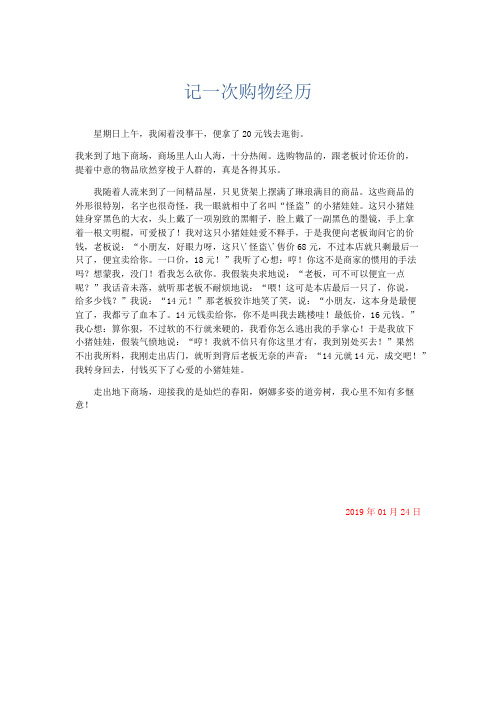 应用文 记一次购物经历-精品