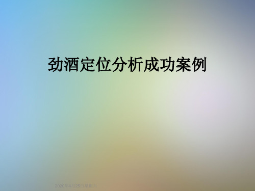 劲酒定位分析成功案例
