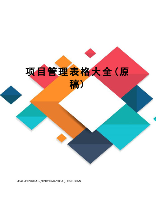 项目管理表格大全(原稿)