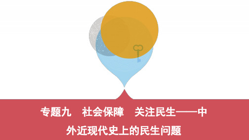 专题九 社会保障 关注民生——中外近现代史上的民生问题