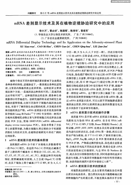 mRNA差别显示技术及其在植物逆境胁迫研究中的应用