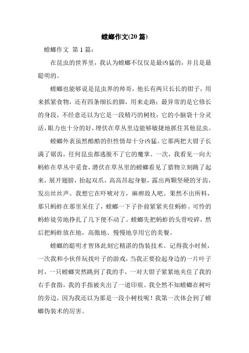 新整理螳螂作文(20篇)