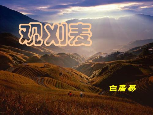 《观刈麦》PPT课件(上课用)