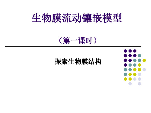 人教生物必修1第4章第2节生物膜的流动镶嵌模型