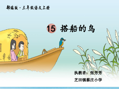 《搭船的鸟》课件(第二课时)