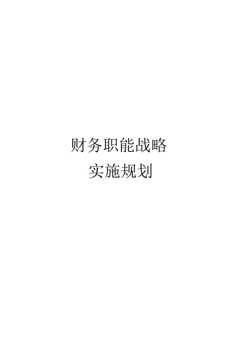 财务职能战略实施规划