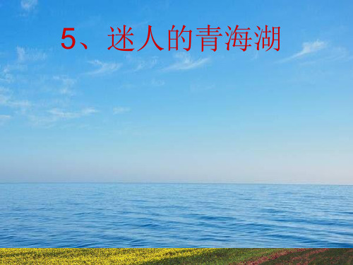 迷人的青海湖