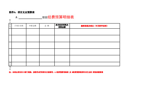 预算工作——项目支出预算表