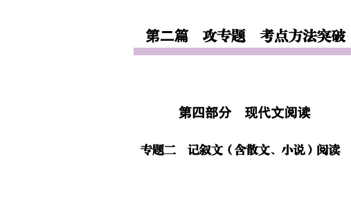 中招语文复习 专题二 记叙文(含散文、小说)阅读