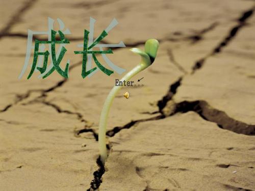 成长ppt