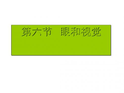 眼和视觉ppt1 浙教版