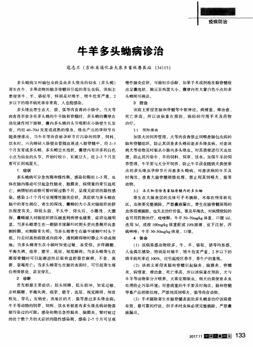 牛羊多头蚴病诊治