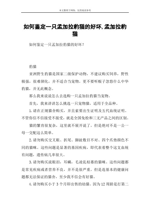 如何鉴定一只孟加拉豹猫的好坏,孟加拉豹猫