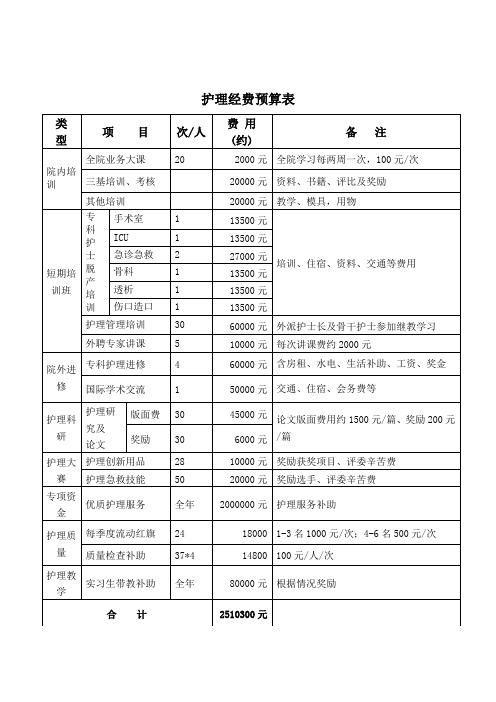护理经费预算表