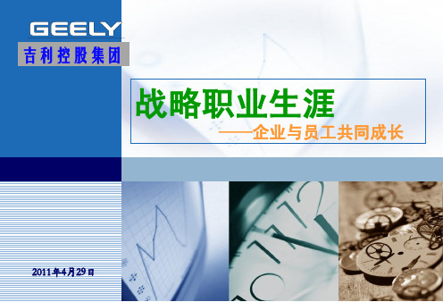 战略职业生涯